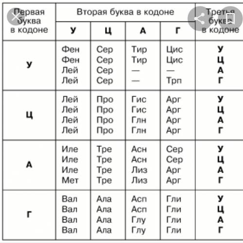 Змоделюйте процес транскрипції на такій послідовності нуклеотидів з ланцюгив молекули днк: тац гац а