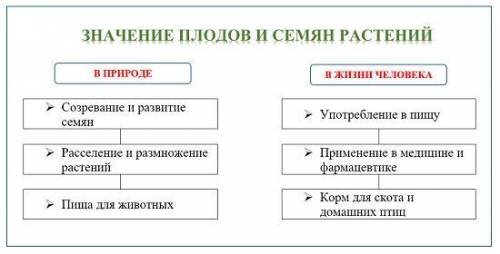 1) распространение плодов и семян 2) значение плодов и семян