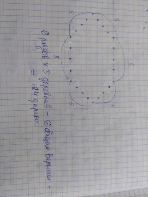 Посадить 24 дерева в 6 рядов так, чтобы в каждом ряду было по 5 деревьев