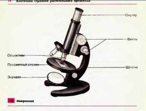 ()3.на рисунке представлен световой микроскоп.(а) обозначьте на рисунке стрелками объектив и окуляр.