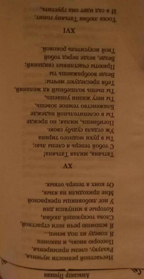 Евгений онегин. сочинение на тему татьяна-милый идеал. побольше о татьяне, об отношениях с онегины