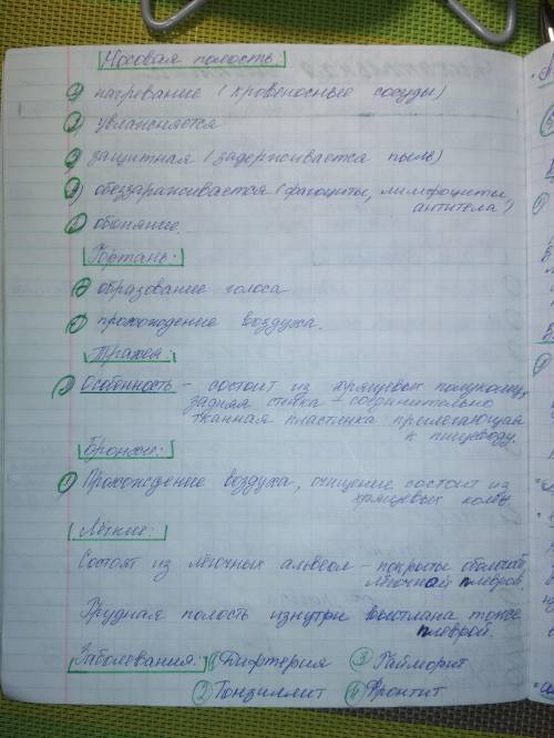 Путь вдыхаемого воздуха : носовая полость - носоглотка - гортань - трахея - бронхи - альвеолы лёгких