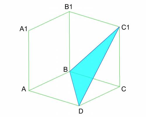 Дано: ABCDA1B1D1C1 — Куб. Найдите угол между прямыми B1D1 и DC1. ответ по подробно расписать, желате