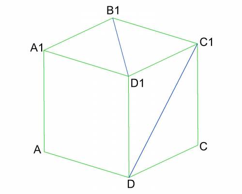 Дано: ABCDA1B1D1C1 — Куб. Найдите угол между прямыми B1D1 и DC1. ответ по подробно расписать, желате