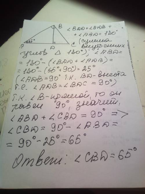 Из вершины прямого угла B ^ ABC проведена высота BD. Найти угол CBD если угол A= 65°