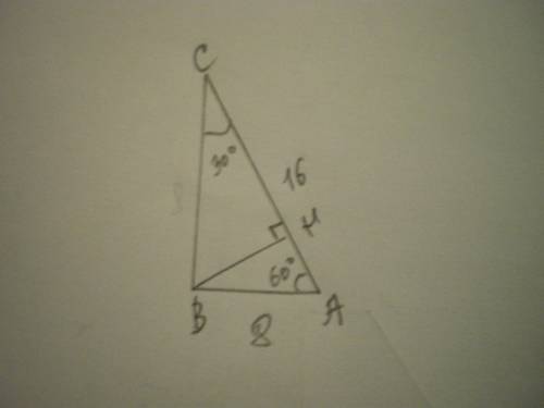 В прямоугольном треугольнике АВСугол В=90°. AB=8 см, АС=16 см. Найдитеуглы, которые высота ВН образу