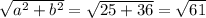 \sqrt{a^{2}+b^{2} } = \sqrt{25+36} = \sqrt{61}