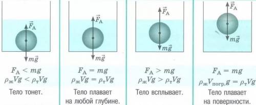 Изобразите графически силы , действующие на тело , плавающее на воде, всплывающее на поверхность вод