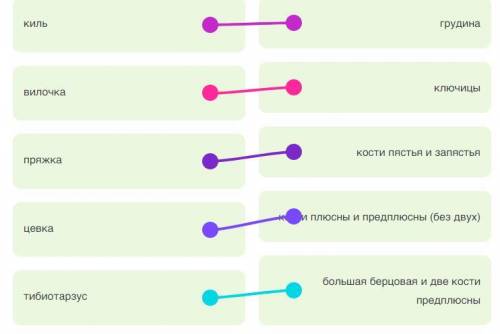 Соотнесите новообразования скелета птиц с исходными костями.вилочка,киль,пряжка,тибиотарзус,цевка.ко