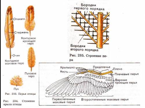 На этой во ответьте умоляю вас