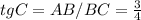 tgC=AB/BC = \frac{3}{4}