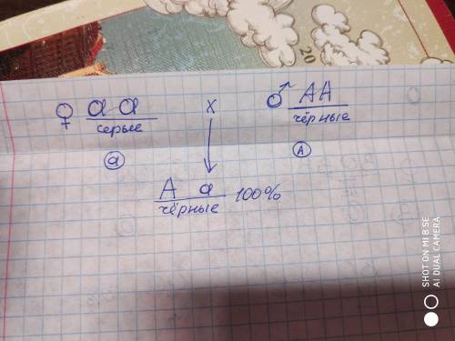 Были скрещены гомозиготные кот с черными глазами и кошка с серыми глазами и известно что черный цвет