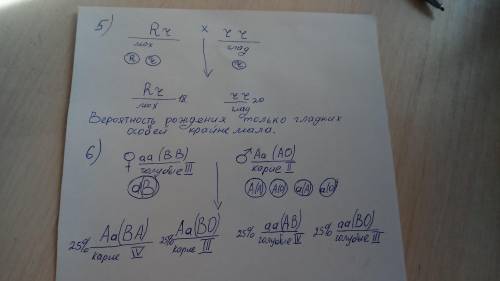 решить все задачи или хотя бы несколько, очень надо!