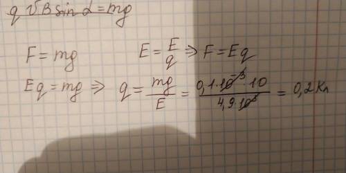 Каким зарядом должна обладать частица массой m=0.1г что бы в электрическом поле напряженностью Е=4.9