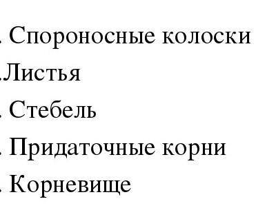 Яку будову мають плауноподібні?​