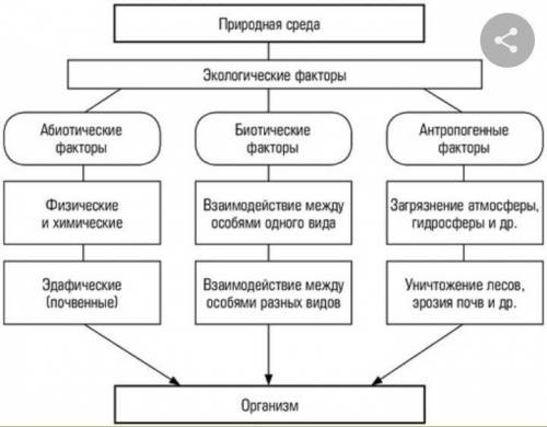 Назвіть екологічні фактори