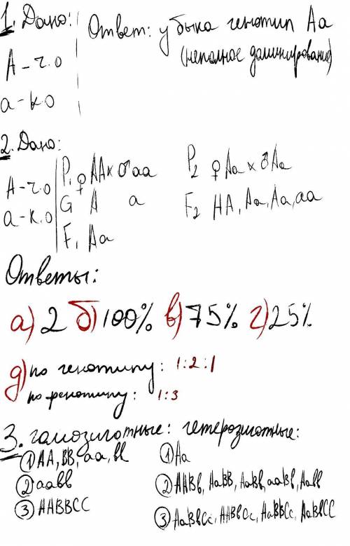 Имеется стадо коров, в котором есть животные черной и красной масти. Известно, что ген А отвечает за