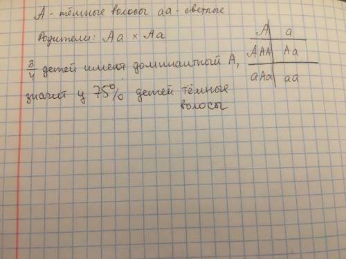 у человека темные волосы доминируют над светлыми. Определите вероятность в процентах рождения темнов