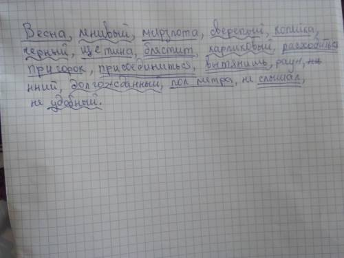 B..сна, л..нивый, м..рзлота, св..репый, к..пейка,ч..рный, щ..тина, бл..стит, карл..ковый, ра(з, сход