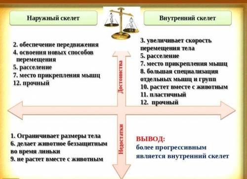 Почему появление позвонков в осевом теле является важной прогрессивной чертой