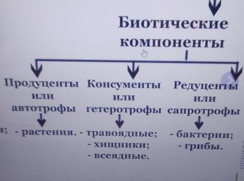 Какие компоненты относятся к биотическим? (примеры)