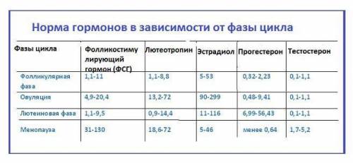 Систематизируйте по критериям фазы менструального цикла . Можно отразить критерии в виде таблицы​