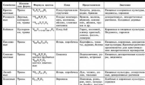 Таблица семейств однодольные 1: название 2:представители 3:строение цветка 4: плоды 5:хозяйственно