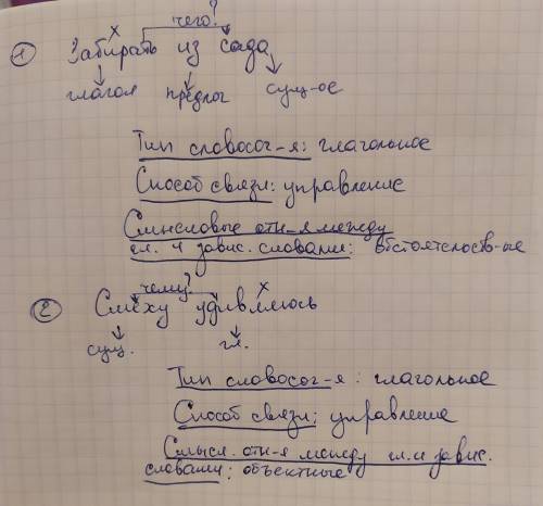 Синтаксический разбор словосочетаний1. забирать из сада.2. смеху удивляюсь.​