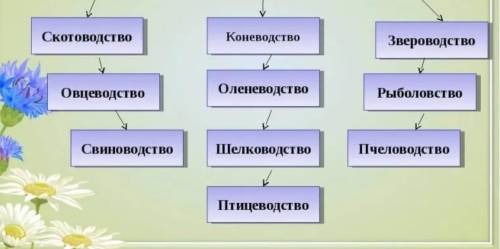 ОЧЕНЬ Перечислить отрасли животноводства \ приведите примеры животных