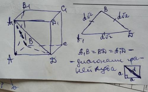 Определи площадь такого сечения куба, которое проведено через диагонали соседних граней, имеющих общ