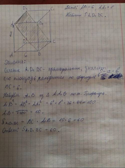 Дана правильная призма ABCDA1B1C1D1, ребро основания равно 6, а боковое ребро равно 8. Постройте сеч