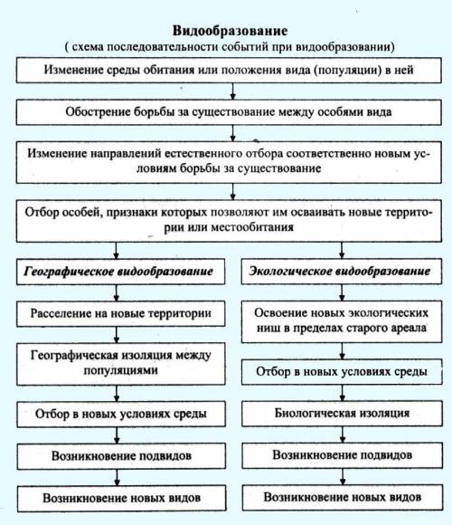 Какие формы видообразования различают в связи с разными видами изоляции?