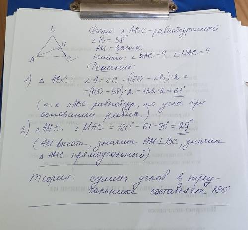 В равнобедренном треугольнике ABC величина угла вершины ∡ B = 58°. Определи угол основания AC с высо