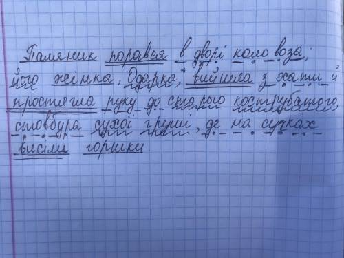 Зробіть синтаксичний розбір. Паляник порався в дворі коло воза; його жінка, Одарка, вийшла з хати й