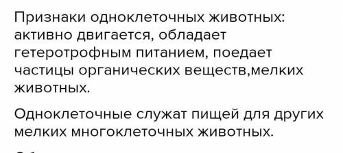 Признаки одноклеточных животных и их роль в природе и жизни человека