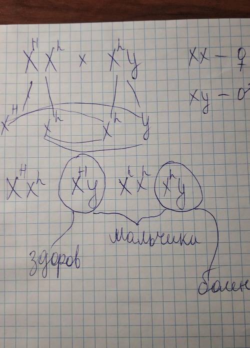 Гипоплазия эмали наследуется как сцепленный с Х-хромосомой - доминантный признак. В семье, где оба р