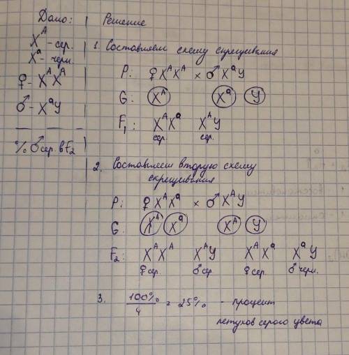 Решите задачу по биологи ( )