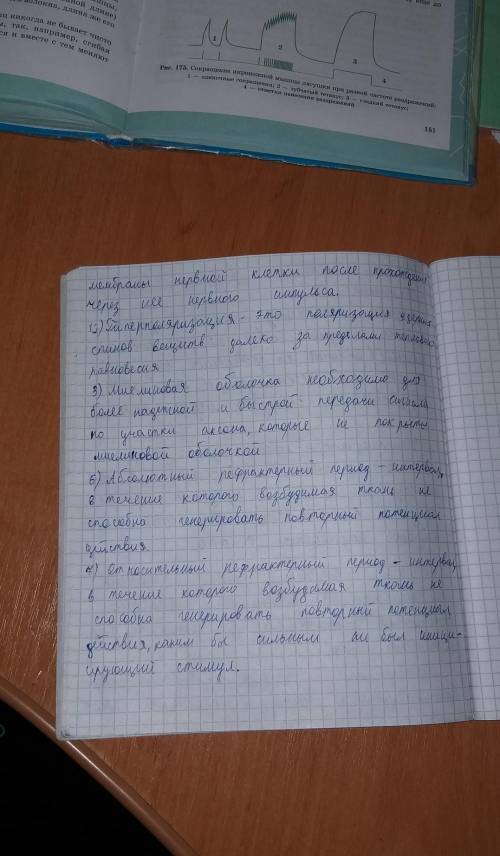 ответь Докончите предложения:• …………деполяризация.• При реполяризации…ионные каналы открываются.• Мие