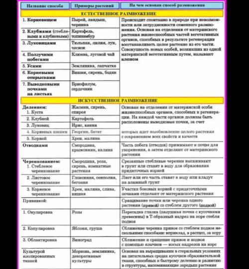Саставьте таблицу Вегетативное размножение покрытосеменных растения три столбика: Название В чём з