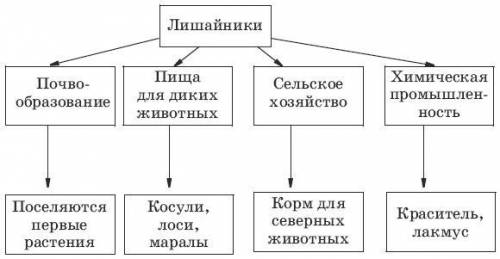 Составте схему многообразия лишайников ​