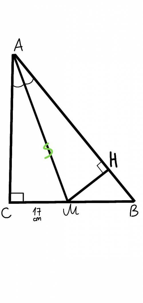 1. В прямоугольном треугольнике АВС с прямым углом С проведена биссектриса АМ , причём МC=17 см. Най