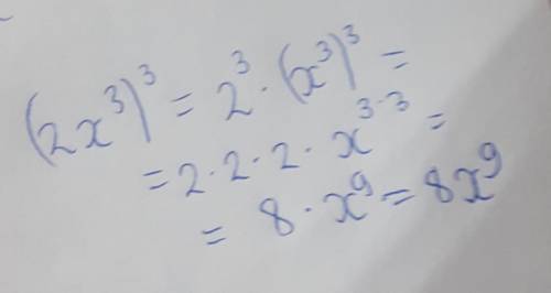 Объясните как решать (2x^3)^3