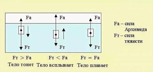 Яки сылы диють на тило занурене в ридену