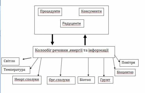 Робота зі схемою (Склад екосистеми)