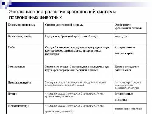 Составить подробную схему о развитии кровеносной системы от животных до самых высокоорганизованных.