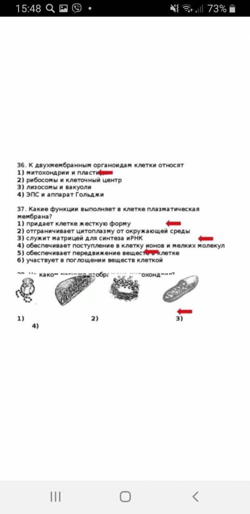 . Установите, какой органоид (A-F) какую функцию (1-6) выполняет и выберите номер правильной комбина