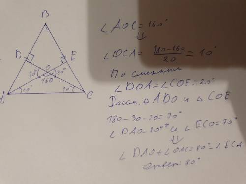 Угол между высотами опущенные на боковые стороны равнобедренного треугольника равен 160°.Найдите уго