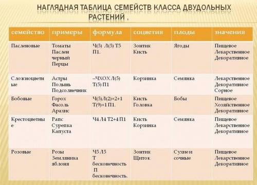 Таблица 6 класс биология двудольные