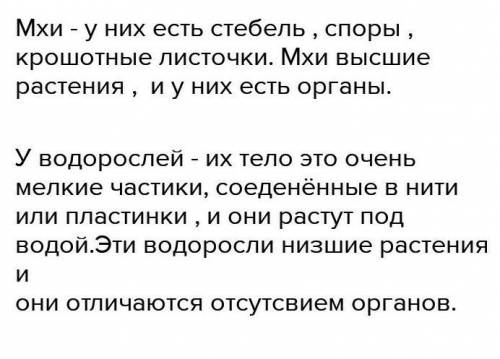 Сравните водоросли и мхи. Какие усложнения произошли в строении мхов по сравнению с водорослями?