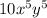 10x^5y^5